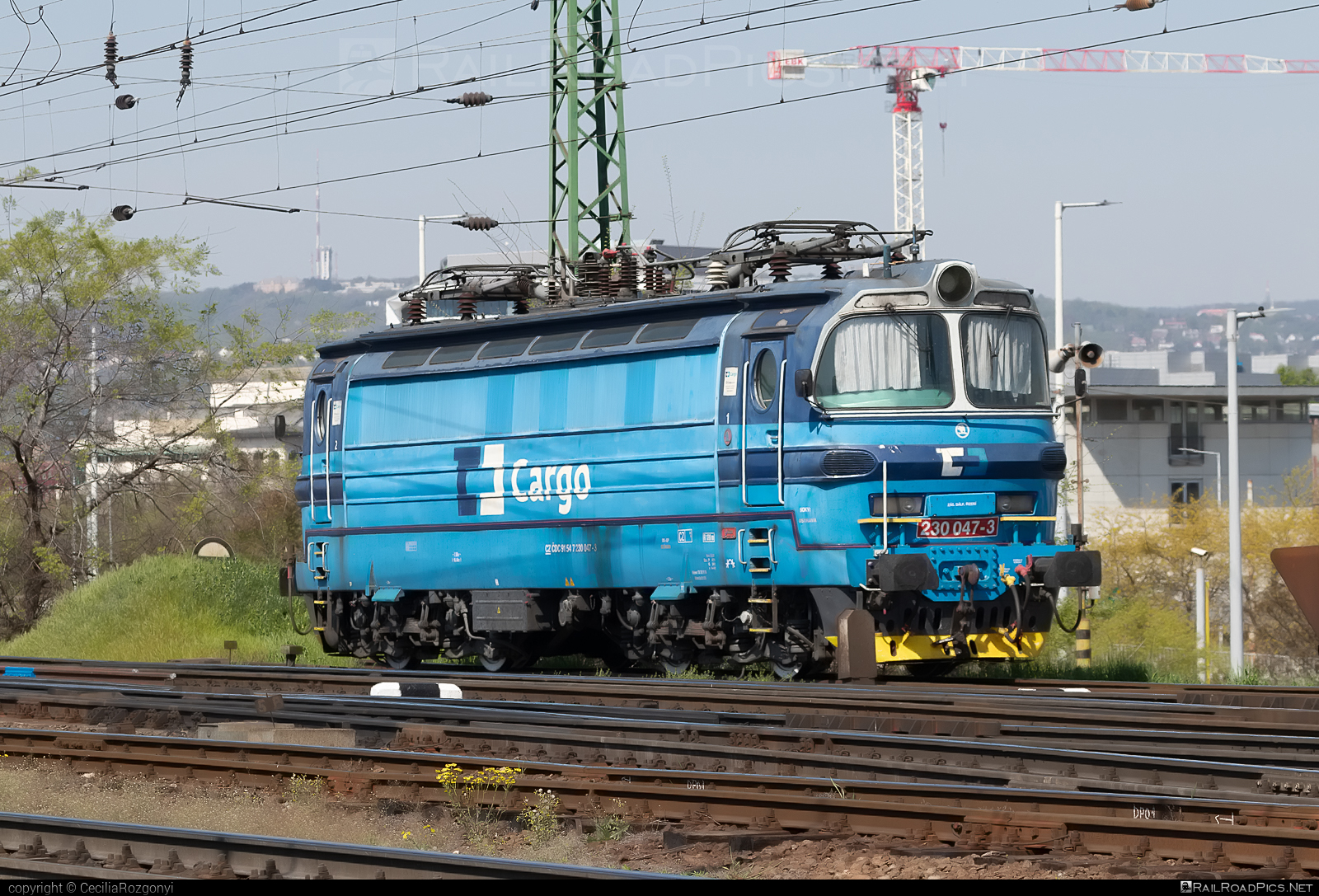 Škoda 47E - 230 047-3 operated by ČD Cargo, a.s. #cdcargo #laminatka #locomotive240 #skoda #skoda47e