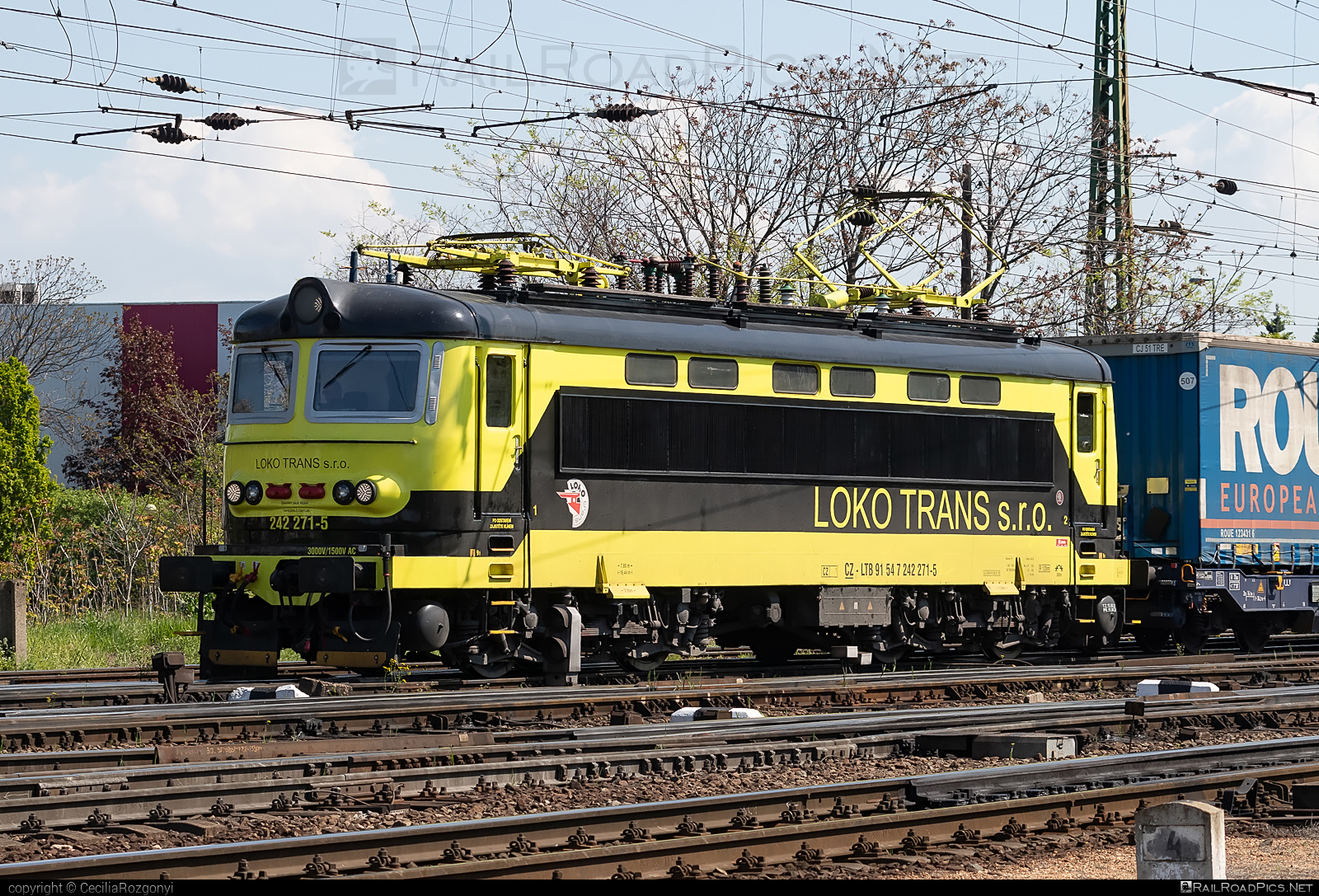 Škoda 73E - 242 271-5 operated by LOKO TRANS s.r.o. #locomotive242 #lokotrans #plechac #skoda #skoda73e