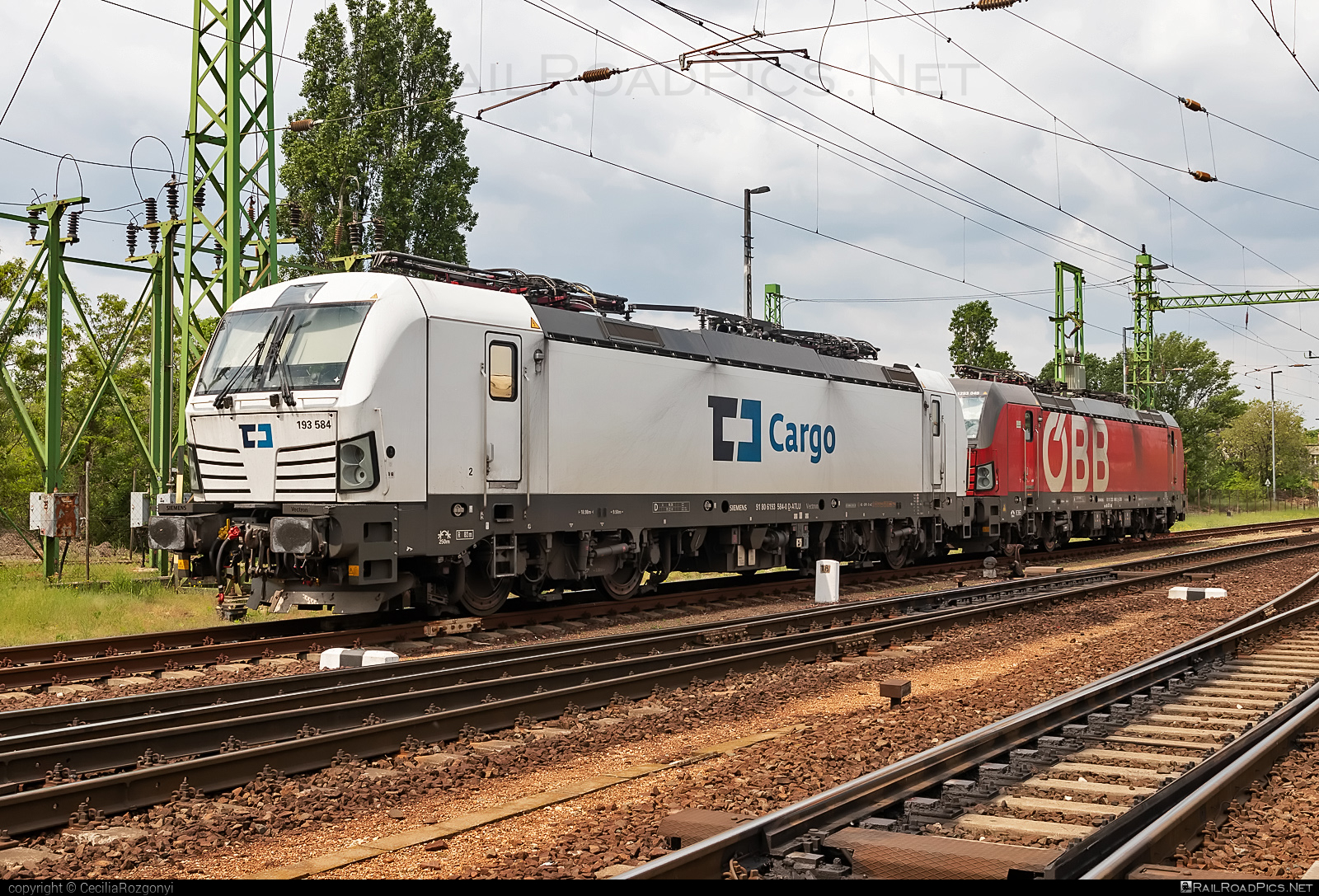 Siemens Vectron MS - 193 584 operated by ČD Cargo, a.s. #alphatrainsluxembourg #cdcargo #siemens #siemensVectron #siemensVectronMS #vectron #vectronMS
