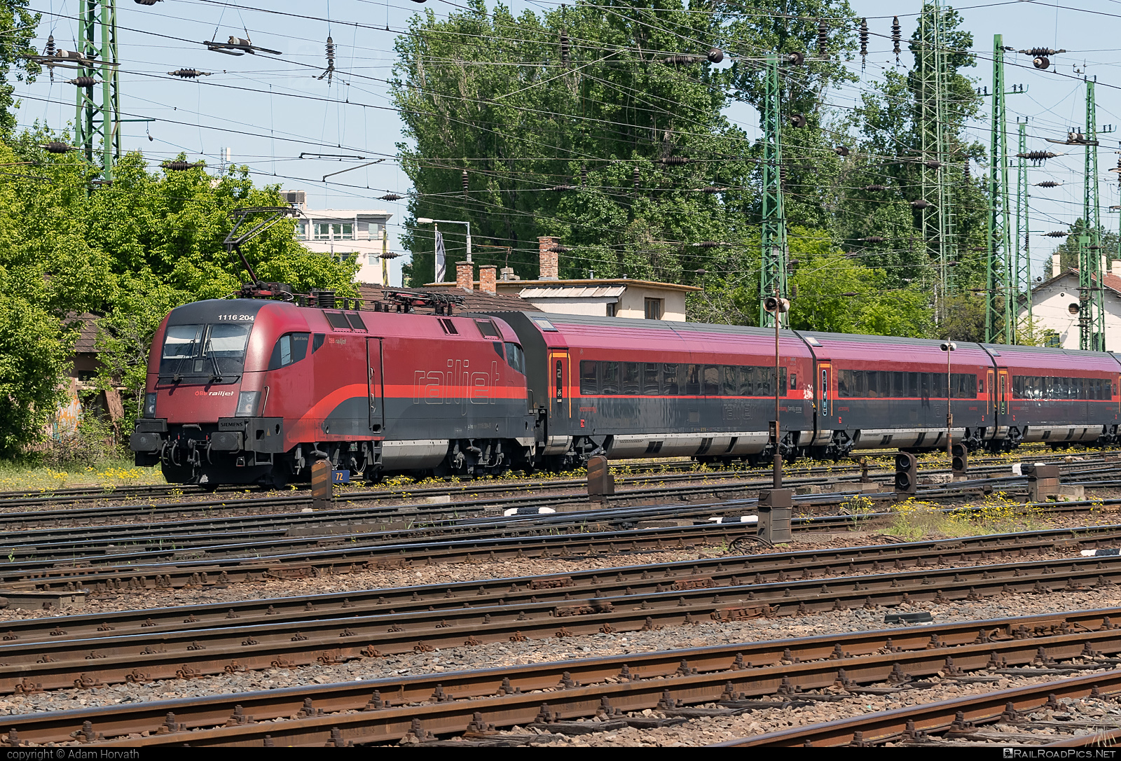 Siemens ES 64 U2 - 1116 204 operated by Österreichische Bundesbahnen #es64 #es64u2 #eurosprinter #obb #obbrailjet #osterreichischebundesbahnen #railjet #siemens #siemensEs64 #siemensEs64u2 #siemenstaurus #taurus #tauruslocomotive