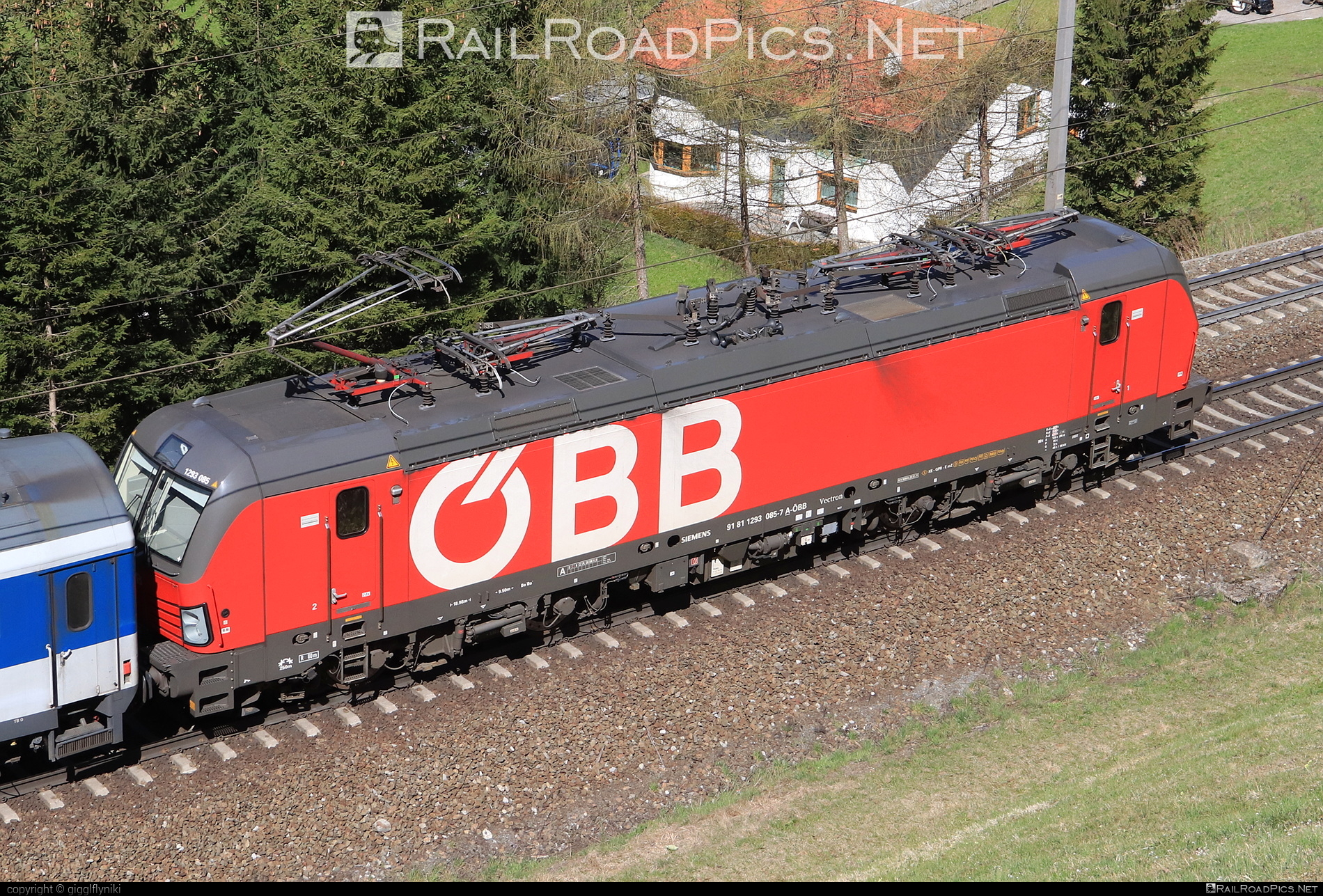 Siemens Vectron MS - 1293 085 operated by Rail Cargo Austria AG #obb #osterreichischebundesbahnen #rcw #siemens #siemensVectron #siemensVectronMS #vectron #vectronMS