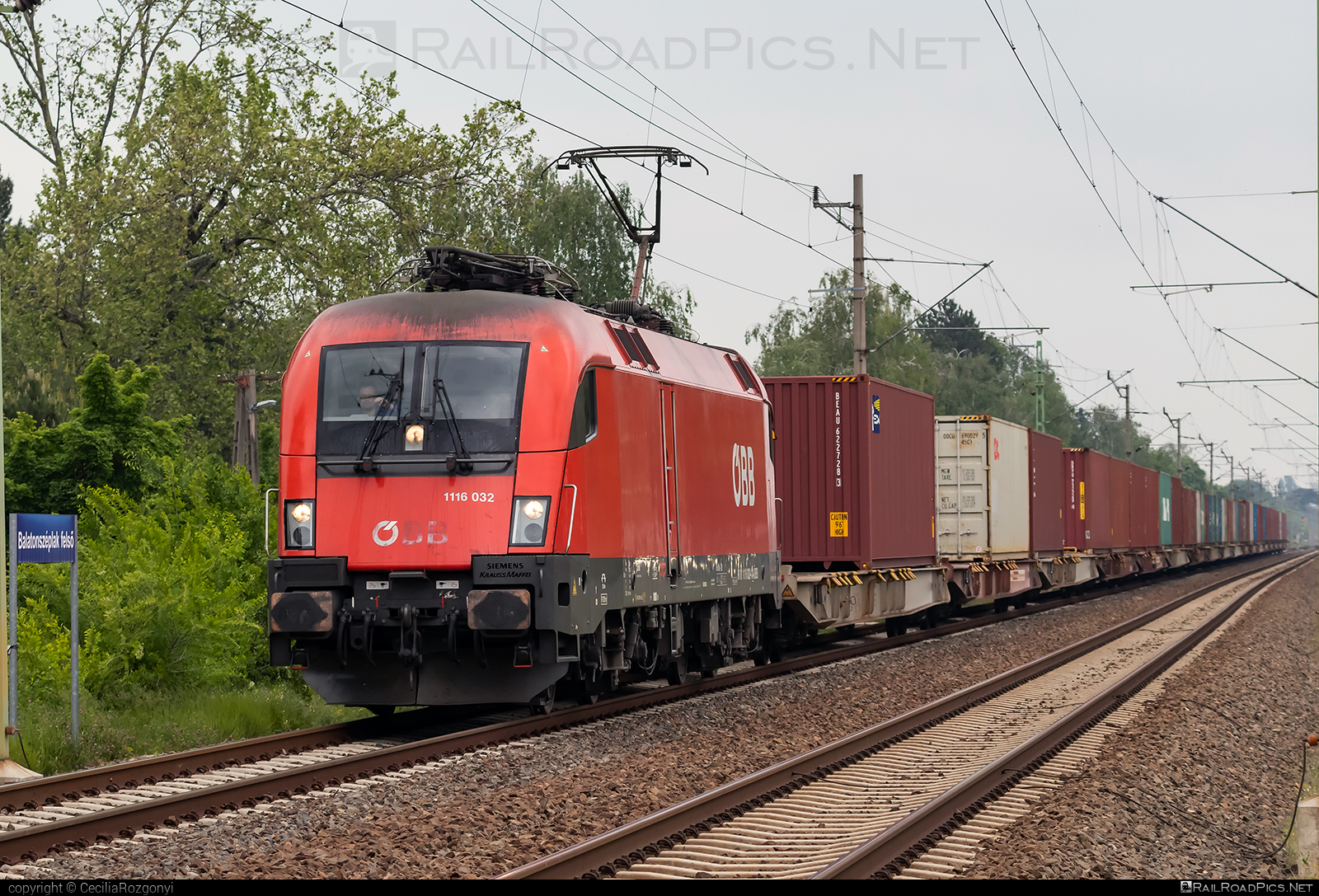Siemens ES 64 U2 - 1116 032 operated by Rail Cargo Austria AG #container #es64 #es64u2 #eurosprinter #flatwagon #obb #osterreichischebundesbahnen #rcw #siemens #siemenses64 #siemenses64u2 #siemenstaurus #taurus #tauruslocomotive
