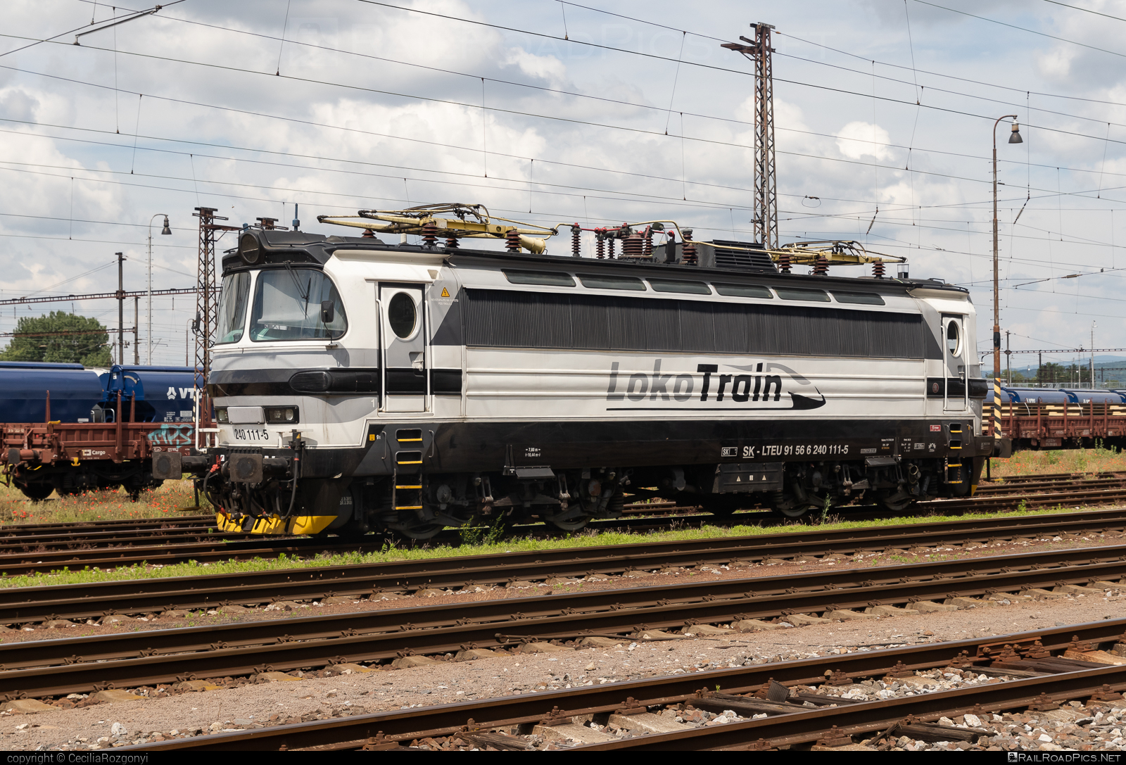 Škoda 47E - 240 111-5 operated by Loko Train s.r.o. #laminatka #locomotive240 #lokotrain #lokotrainsro #skoda #skoda47e
