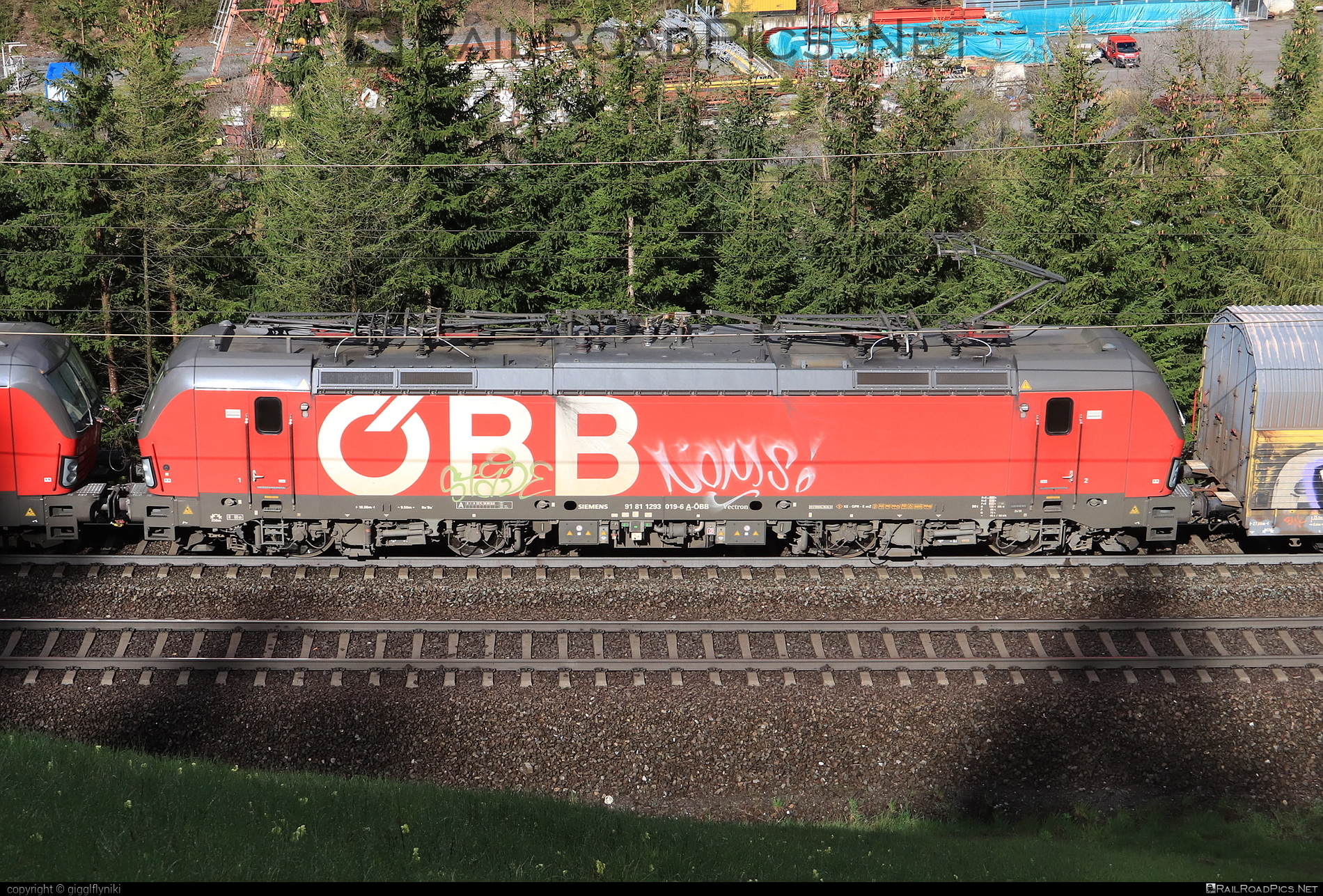 Siemens Vectron MS - 1293 019 operated by Rail Cargo Austria AG #obb #osterreichischebundesbahnen #rcw #siemens #siemensVectron #siemensVectronMS #vectron #vectronMS
