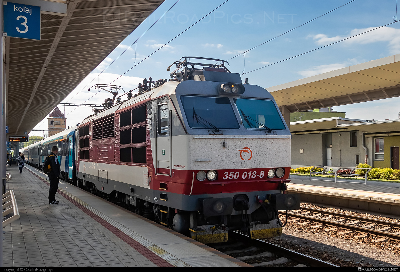 Škoda 55E - 350 018-8 operated by Železničná Spoločnost' Slovensko, a.s. #ZeleznicnaSpolocnostSlovensko #gorila #locomotive350 #skoda #skoda55e #zssk