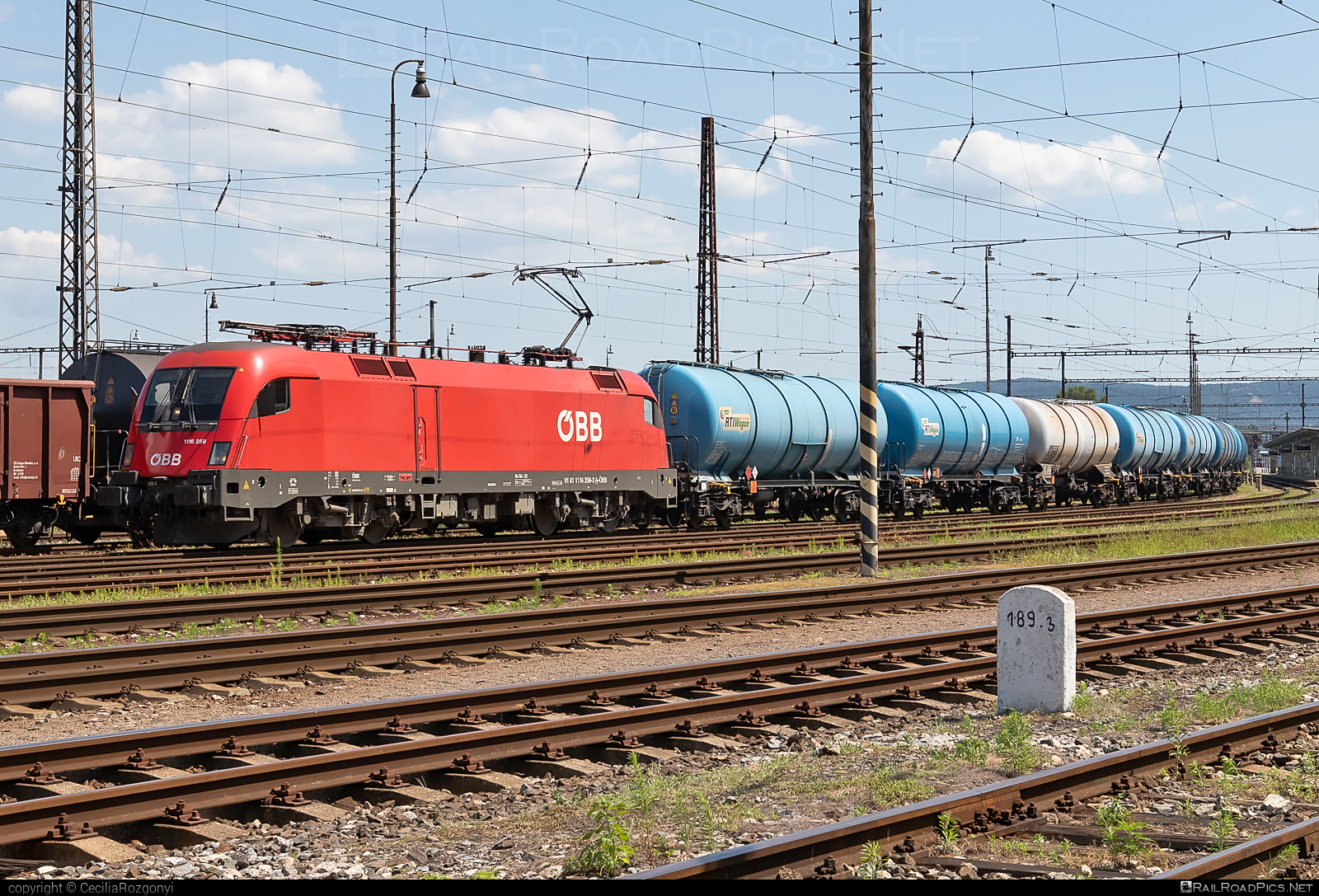 Siemens ES 64 U2 - 1116 259 operated by Rail Cargo Austria AG #es64 #es64u2 #eurosprinter #kesselwagen #obb #osterreichischebundesbahnen #rcw #rtiwagon #siemens #siemensEs64 #siemensEs64u2 #siemenstaurus #tankwagon #taurus #tauruslocomotive