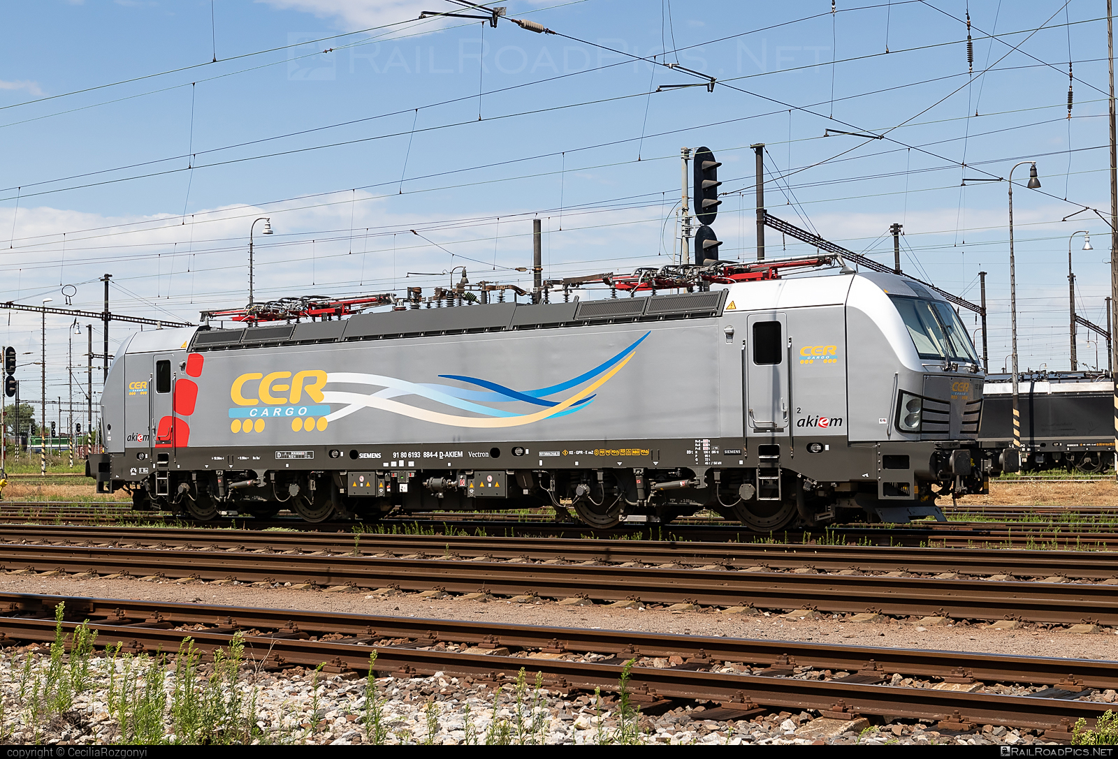 Siemens Vectron MS - 193 884 operated by CER Cargo Holding SE #akiem #akiemsas #cer #cercargoholding #cercargoholdingse #siemens #siemensVectron #siemensVectronMS #vectron #vectronMS