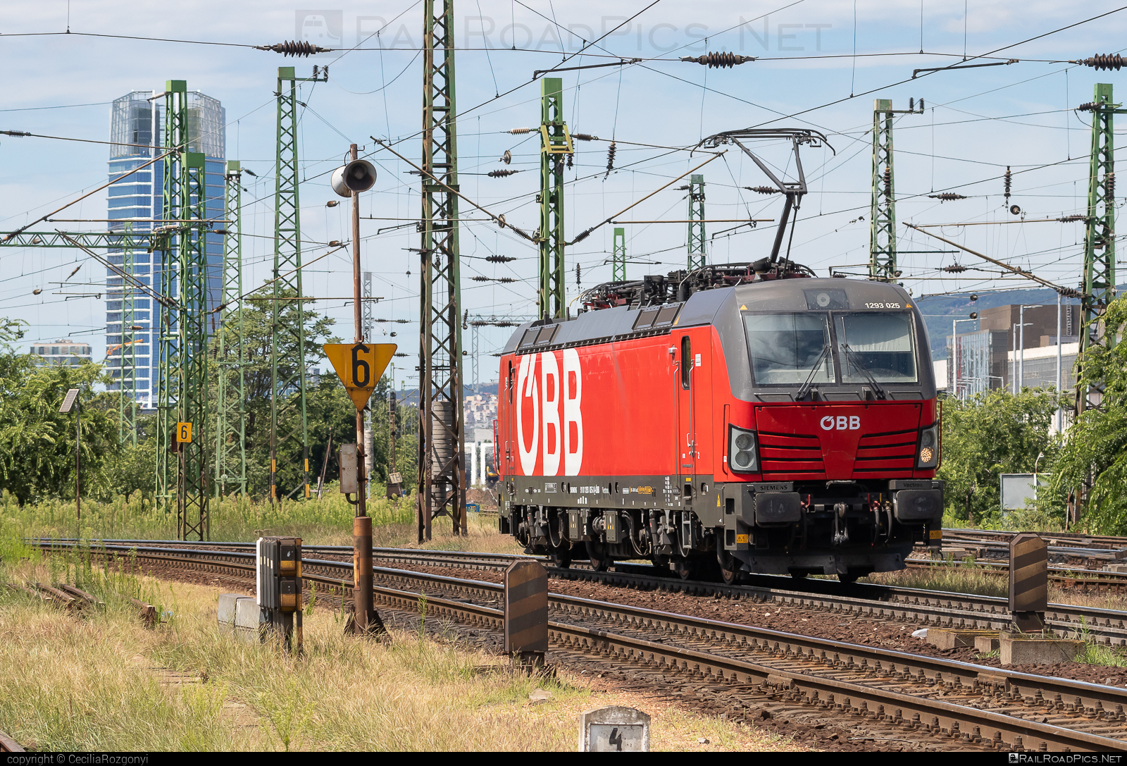 Siemens Vectron MS - 1293 025 operated by Rail Cargo Austria AG #obb #osterreichischebundesbahnen #rcw #siemens #siemensVectron #siemensVectronMS #vectron #vectronMS