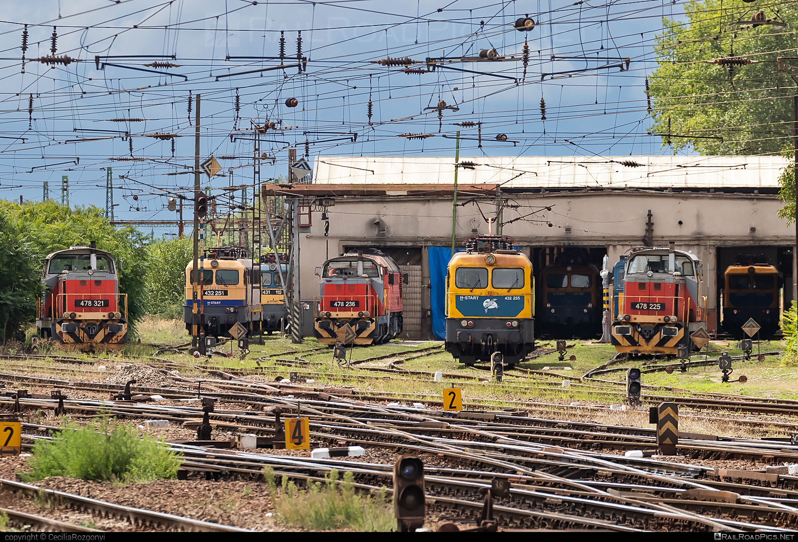 Ganz-MÁVAG VM14-19 - 432 255 operated by MÁV-START ZRt. #ganz43 #ganz432 #ganzmavag #ganzmavag43 #ganzmavag432 #ganzmavagvm1419 #locomotive432 #mav #mavstart #mavstartzrt #v43locomotive