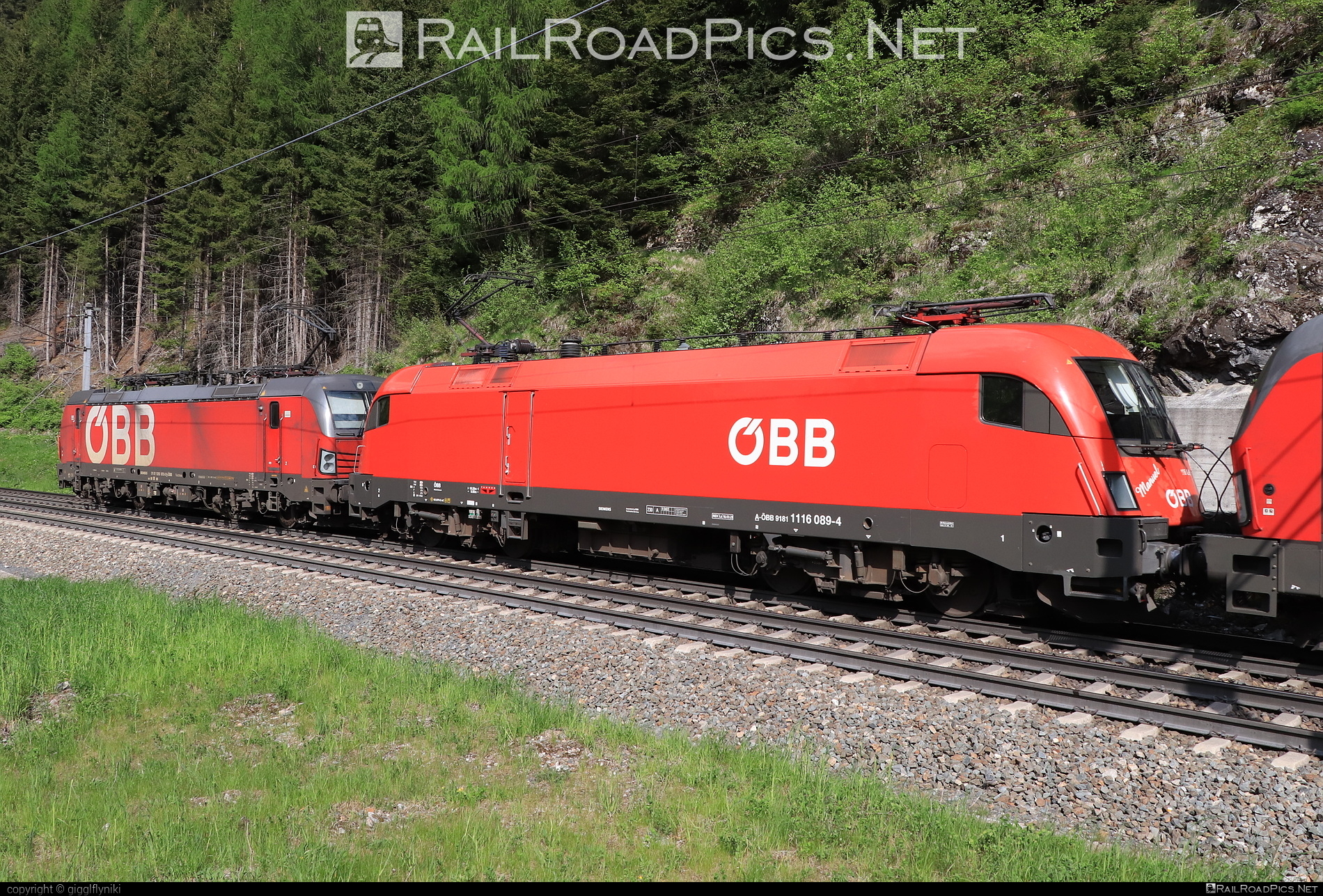 Siemens ES 64 U2 - 1116 089 operated by Rail Cargo Austria AG #es64 #es64u2 #eurosprinter #obb #osterreichischebundesbahnen #rcw #siemens #siemensEs64 #siemensEs64u2 #siemenstaurus #taurus #tauruslocomotive
