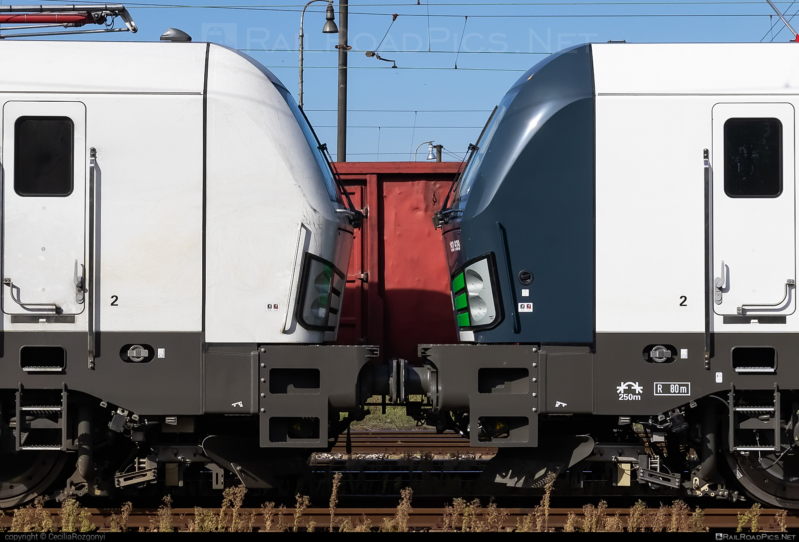Siemens Vectron MS - 193 939 operated by LTE Logistik und Transport GmbH #ell #ellgermany #eloc #europeanlocomotiveleasing #lte #ltelogistikundtransport #ltelogistikundtransportgmbh #siemens #siemensVectron #siemensVectronMS #vectron #vectronMS