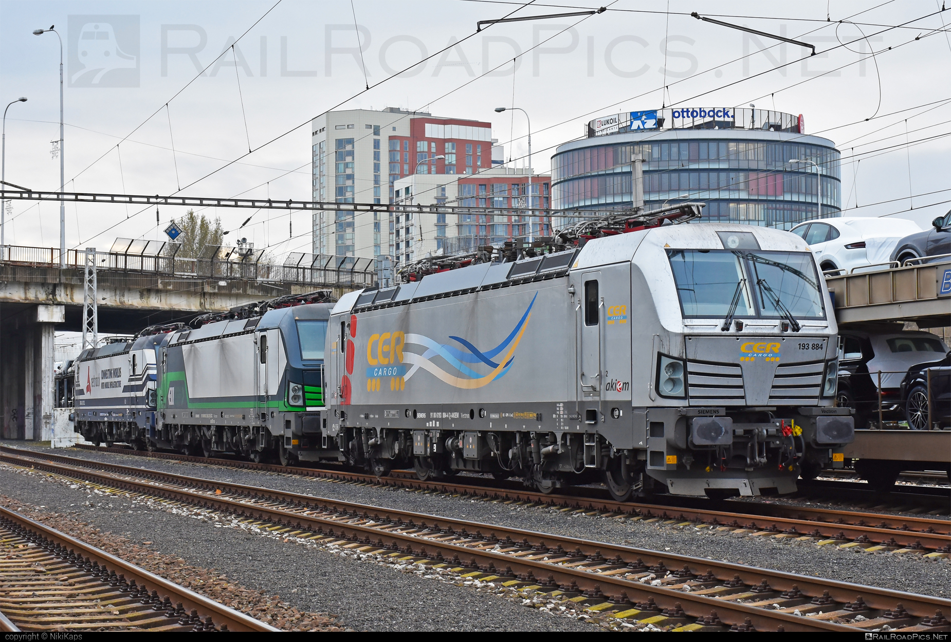 Siemens Vectron MS - 193 884 operated by CER Cargo Holding SE #akiem #akiemsas #cer #cercargoholding #cercargoholdingse #siemens #siemensVectron #siemensVectronMS #vectron #vectronMS