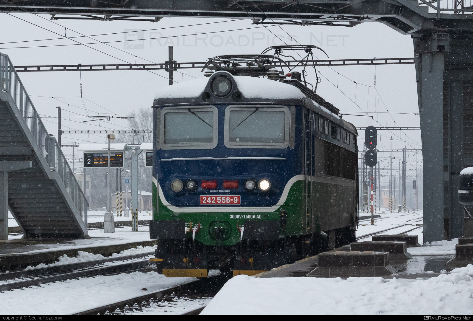 Škoda 73E - 242 556-9 operated by Express Group, a.s. #locomotive242 #plechac #skoda #skoda73e #zoszvolen