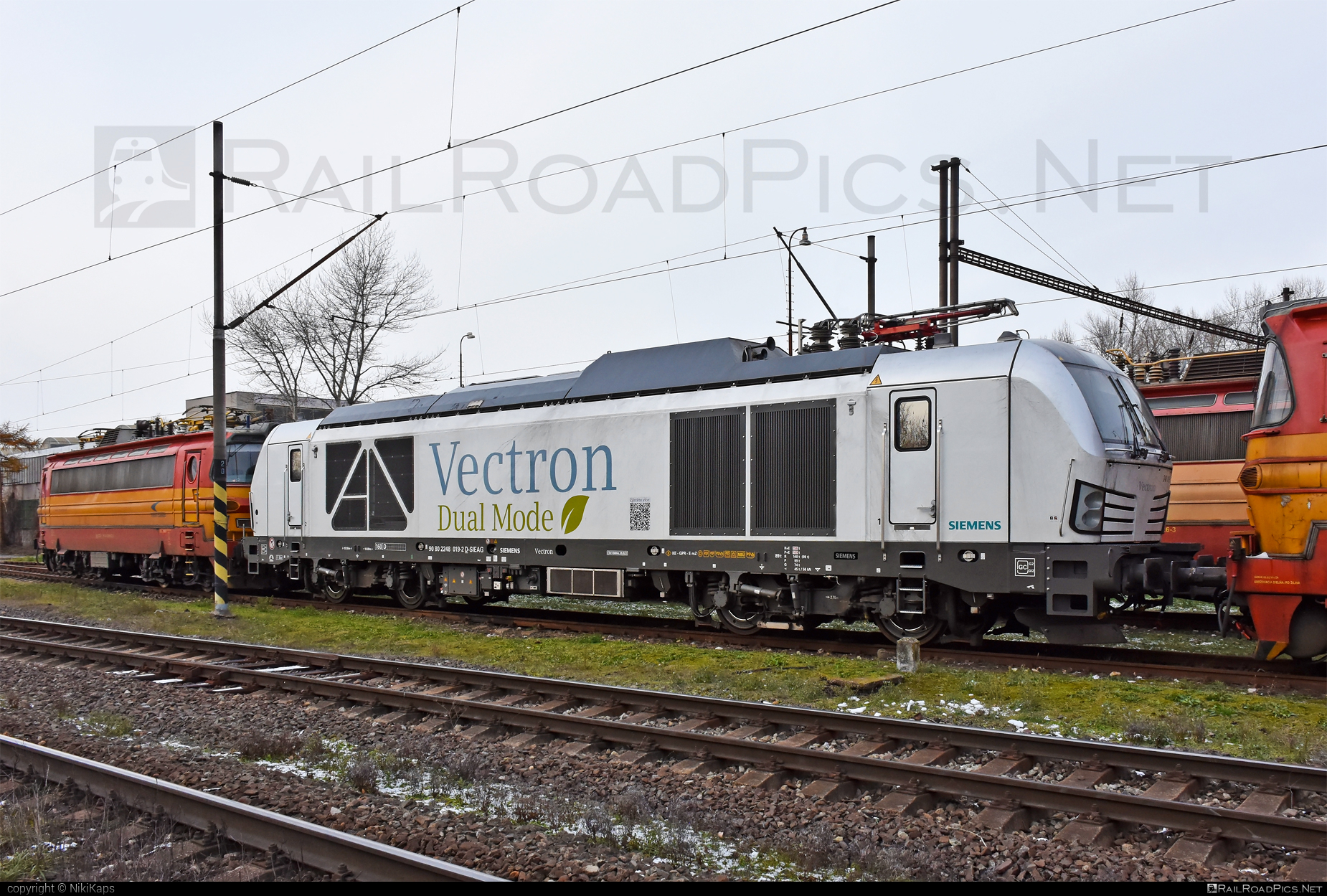 Siemens Vectron Dual Mode - 248 019 operated by Eisenbahn-Gesellschaft Potsdam mbH #SiemensMobility #SiemensMobilityGmbH #egp #siemens #siemensVectron #siemensVectronDualMode #vectron #vectronDualMode