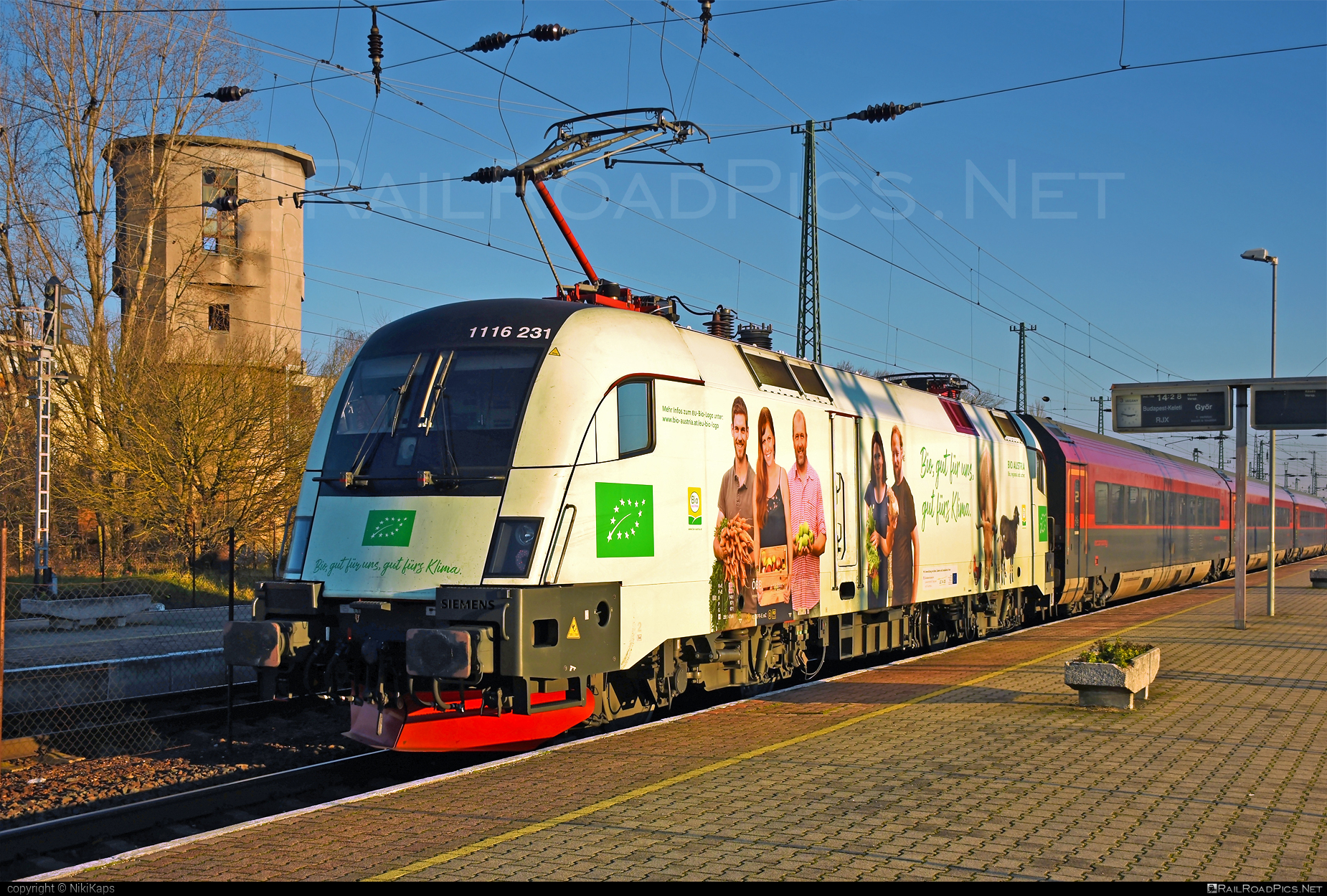 Siemens ES 64 U2 - 1116 231 operated by Österreichische Bundesbahnen #es64 #es64u2 #eurosprinter #obb #obbrailjet #osterreichischebundesbahnen #railjet #siemens #siemensEs64 #siemensEs64u2 #siemenstaurus #taurus #tauruslocomotive