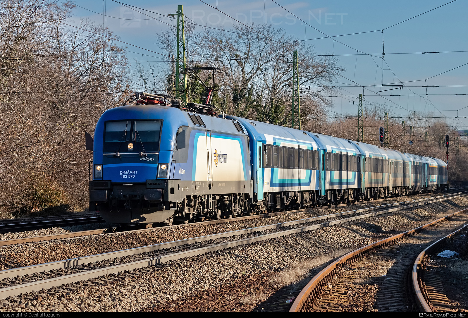 Siemens ES 64 U2 - 182 570 operated by MÁV-START ZRt. #es64 #es64u2 #eurosprinter #mav #mavRailTours #mavRailToursKft. #mavstart #mavstartzrt #siemens #siemensEs64 #siemensEs64u2 #siemenstaurus #taurus #tauruslocomotive