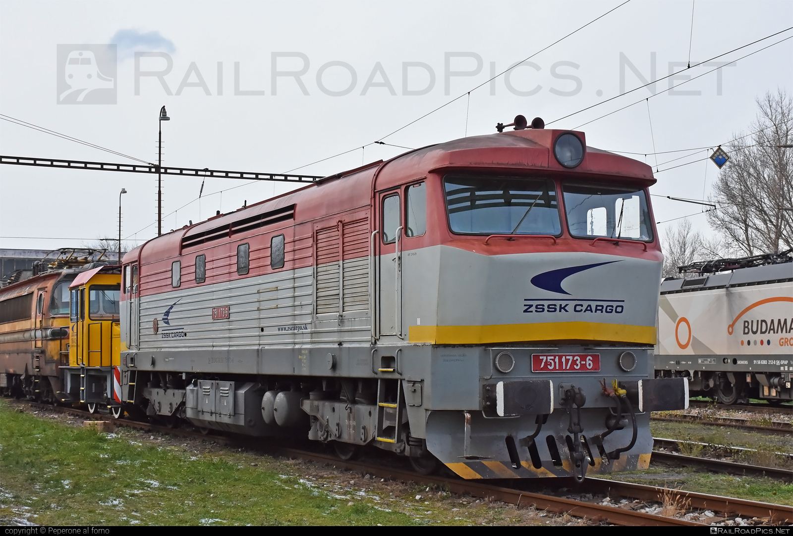 ČKD T 478.1 (751) - 751 173-6 operated by Železničná Spoločnost' Cargo Slovakia a.s. #ZeleznicnaSpolocnostCargoSlovakia #bardotka #ckd #ckd4781 #ckd751 #ckdt4781 #zamracena #zsskcargo