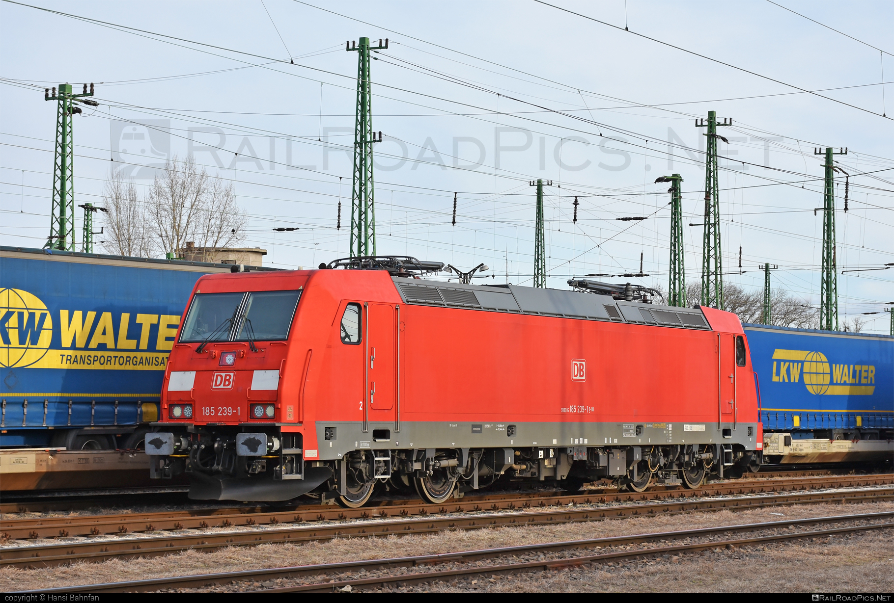 Bombardier TRAXX F140 AC2 - 185 239-1 operated by DB Cargo AG #bombardier #bombardiertraxx #db #dbcargo #dbcargoag #deutschebahn #traxx #traxxf140 #traxxf140ac #traxxf140ac2