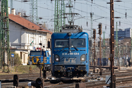 Softronic Transmontana - 480 029-0 operated by LTE-RAIL ROMANIA SRL