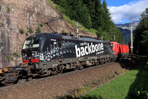Siemens Vectron MS - 193 318 operated by DB Cargo AG
