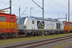 Siemens Vectron Dual Mode - 248 019 operated by Eisenbahn-Gesellschaft Potsdam mbH