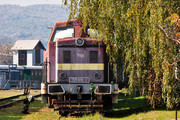 Turčianske strojárne Martin T 444.0 (725) - 725 070-7 operated by Železnice Slovenskej Republiky