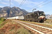 Siemens Vectron MS - 193 645 operated by TXLogistik