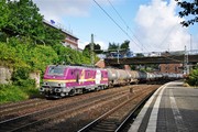 Alstom Prima EL3U/4 (SNCF Class BB 37000) - 37027 operated by HSL Logistik GmbH