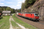 Siemens Vectron MS - 1293 020 operated by Rail Cargo Austria AG