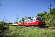 Vagónka Studénka M152.0 (810) - M152.0160 operated by Podvihorlatský železničny spolok